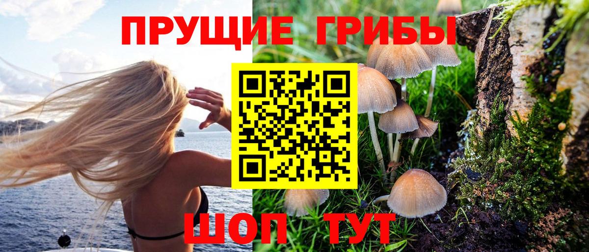 Галлюциногенные грибы мицелий Сатка