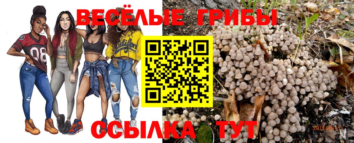 Сатка  закладки  Вход с VPN  Псилоцибиновые грибы Magic Shrooms 